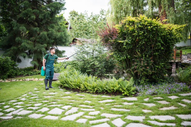 Best Wasp Removal Services  in Southeast Arcadia, FL