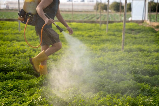 Best Wildlife Control Services  in Southeast Arcadia, FL