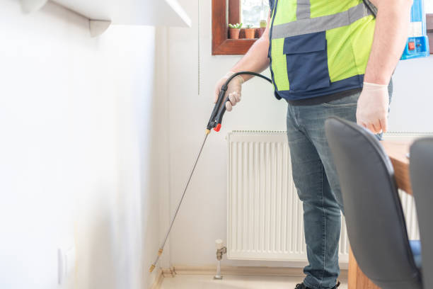 Reliable Southeast Arcadia, FL Pest Control Solutions