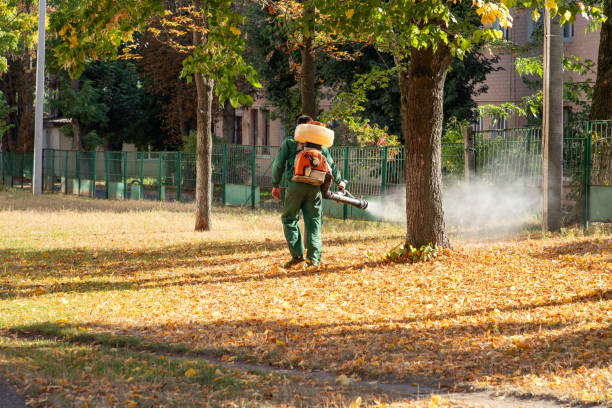 Best Local Pest Control Services  in Southeast Arcadia, FL