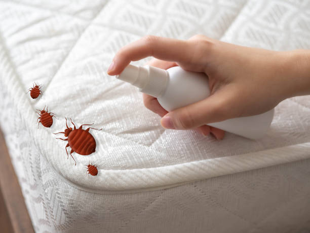 Best Emergency Pest Control  in Southeast Arcadia, FL