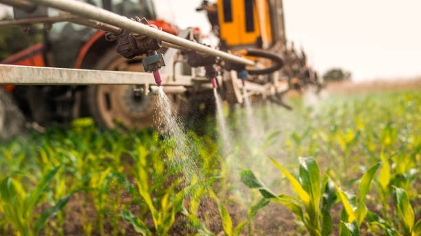 Best Mosquito Control Services  in Southeast Arcadia, FL